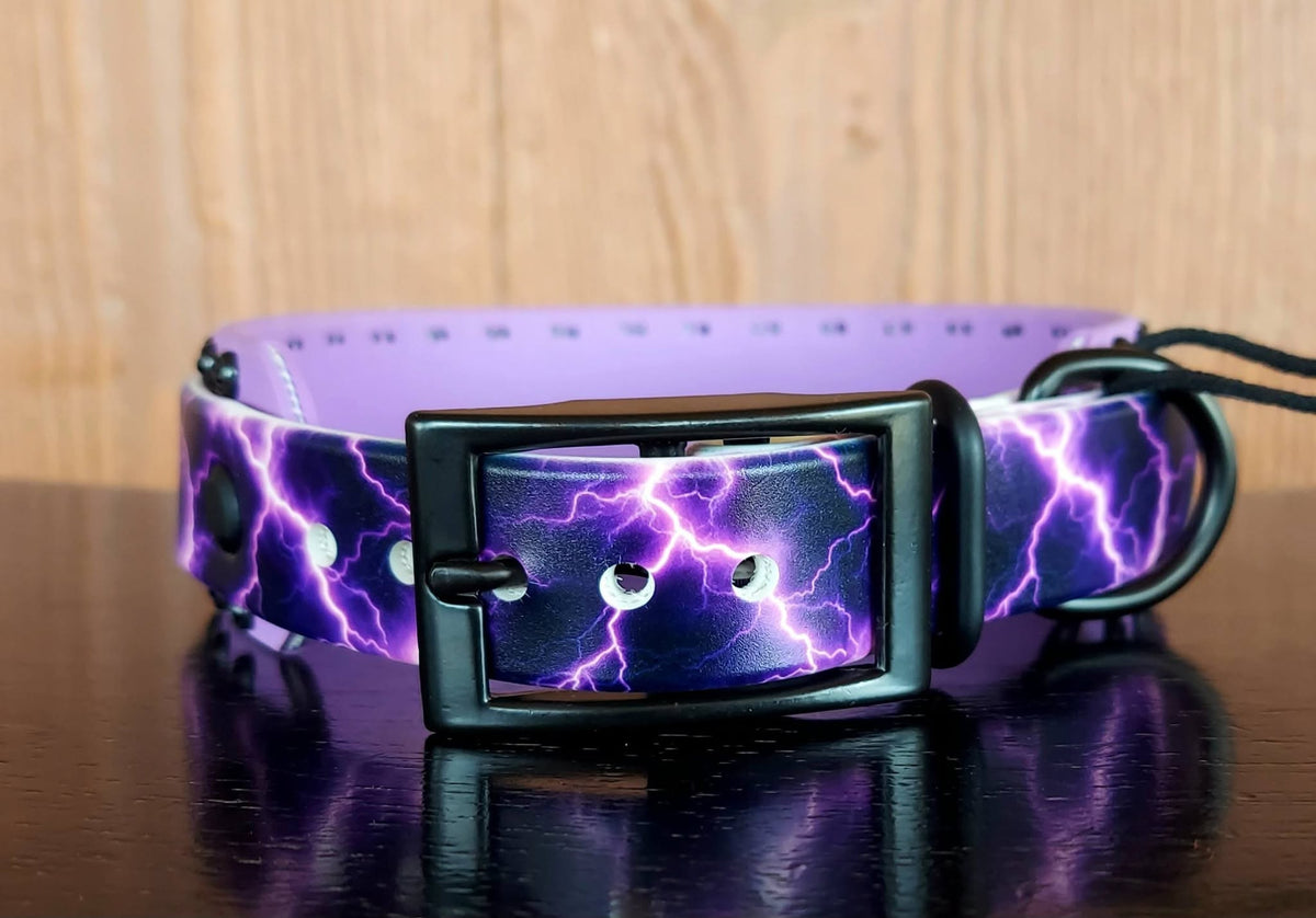 Purple Lightning Buckle Collar
