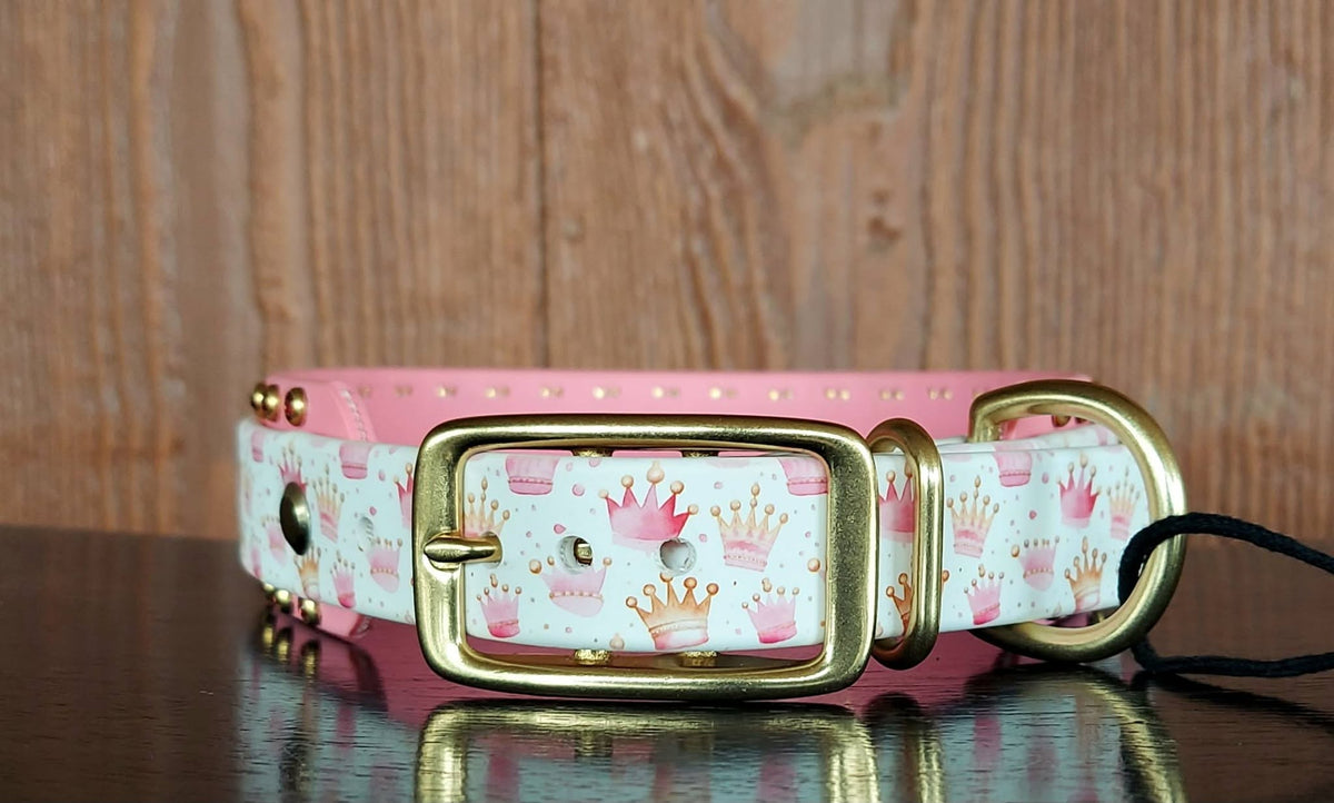 Princess Buckle Collar