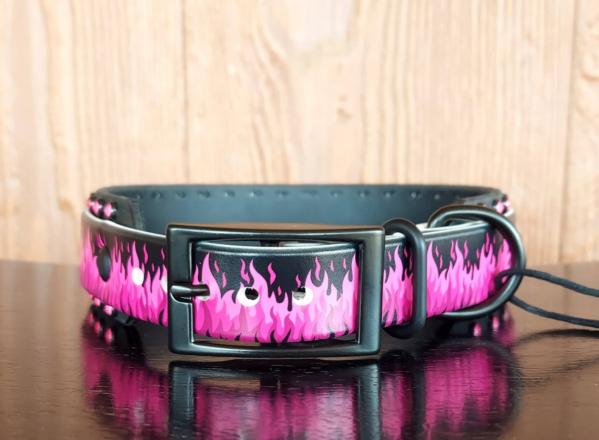 Flamin Hot Pink Buckle Collar