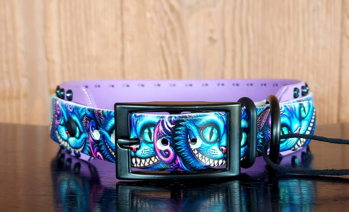 Cheshire Cat Buckle Collar