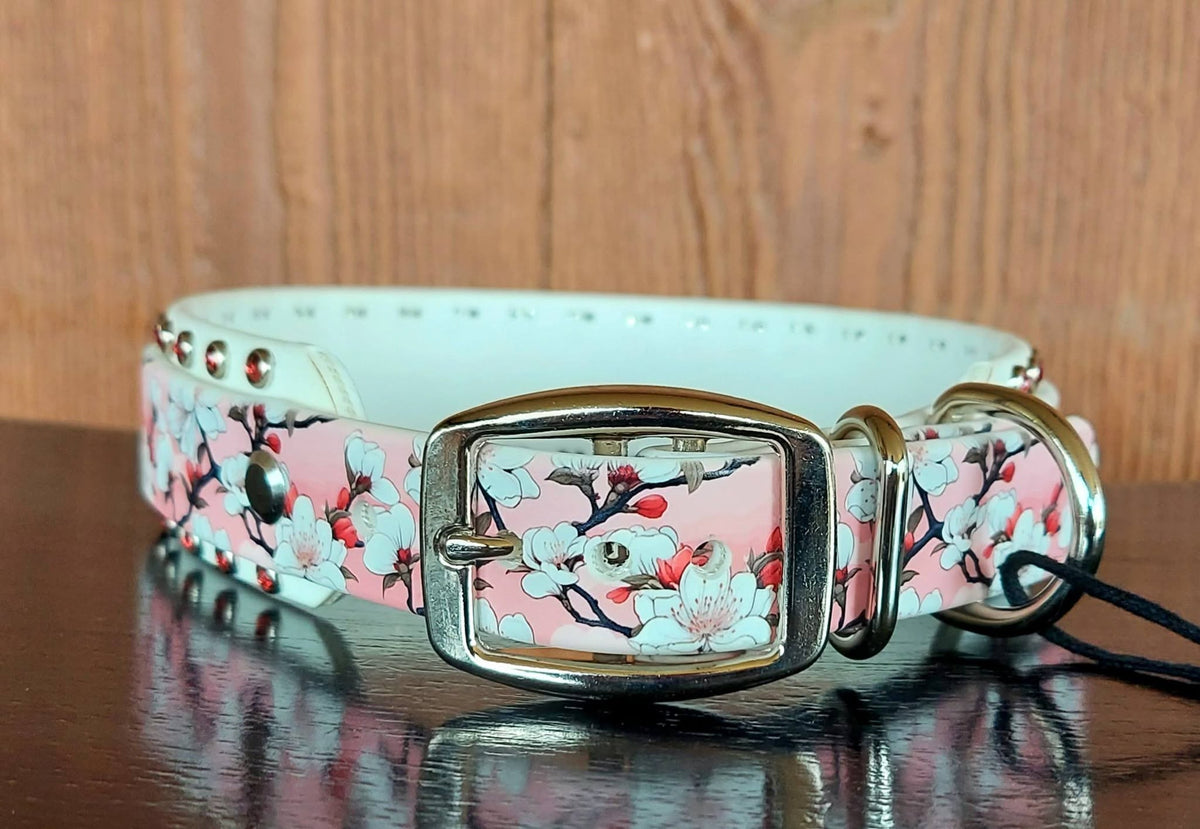 Cherry Blossoms Buckle Collar