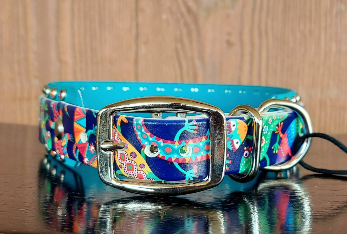 Rainbow Geckos Buckle Collar