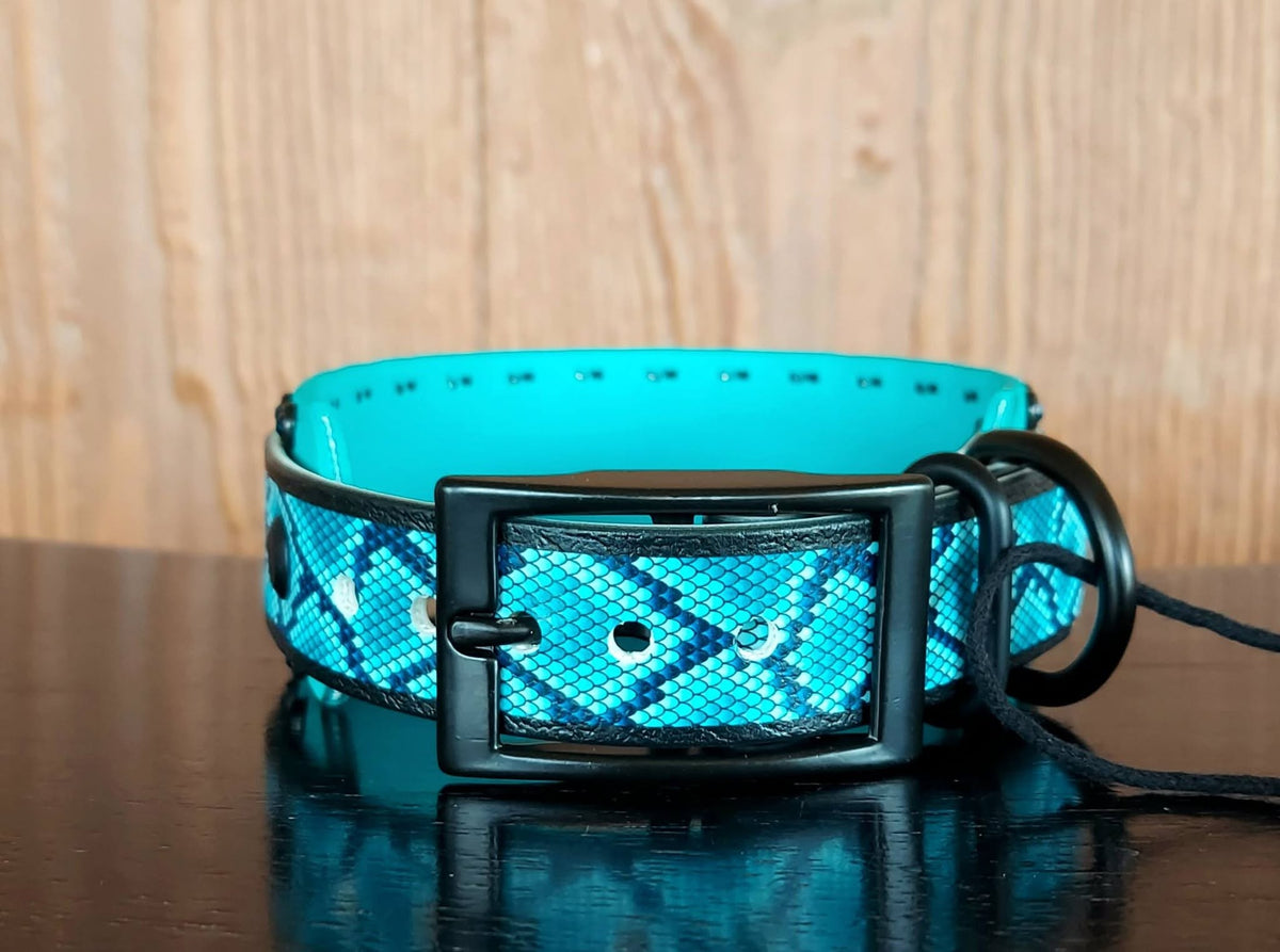 Teal Snakeskin Buckle Collar