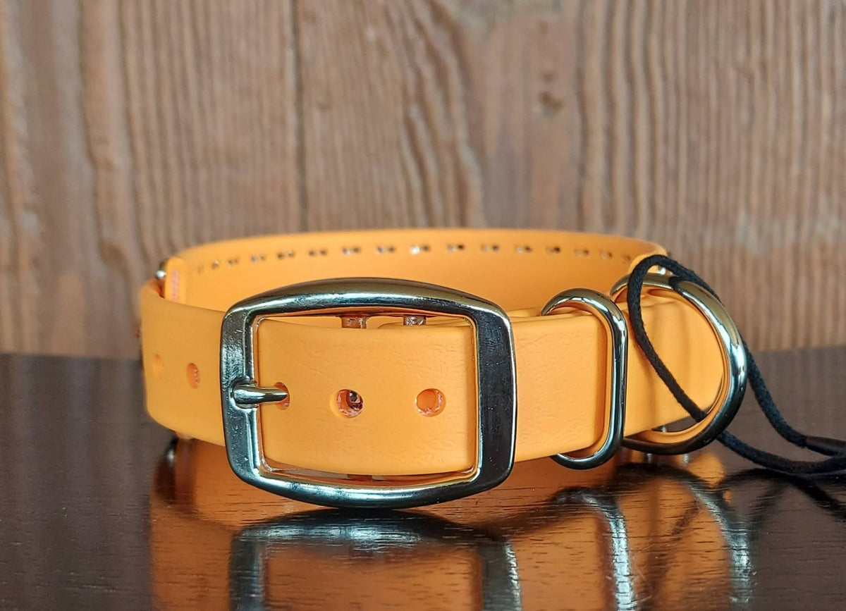 Bloom Buckle Collar - MANGO