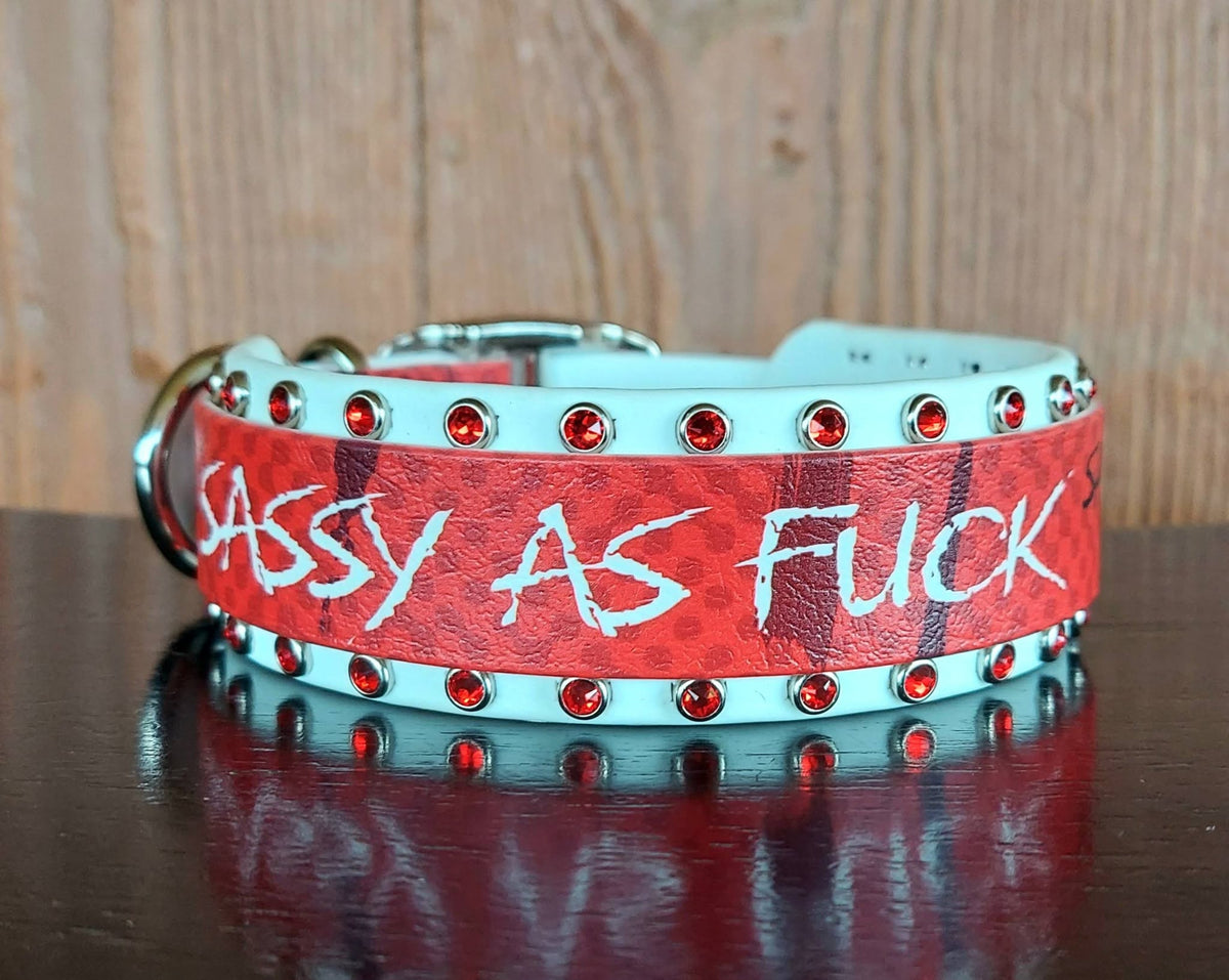 Sassy AF Buckle Collar