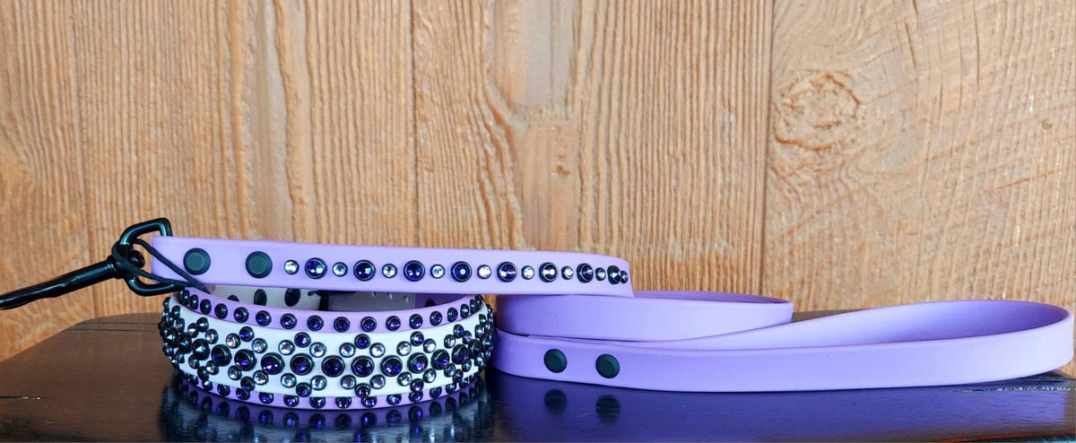 Regal 2 PURPLE - SET (Collar and matching leash)