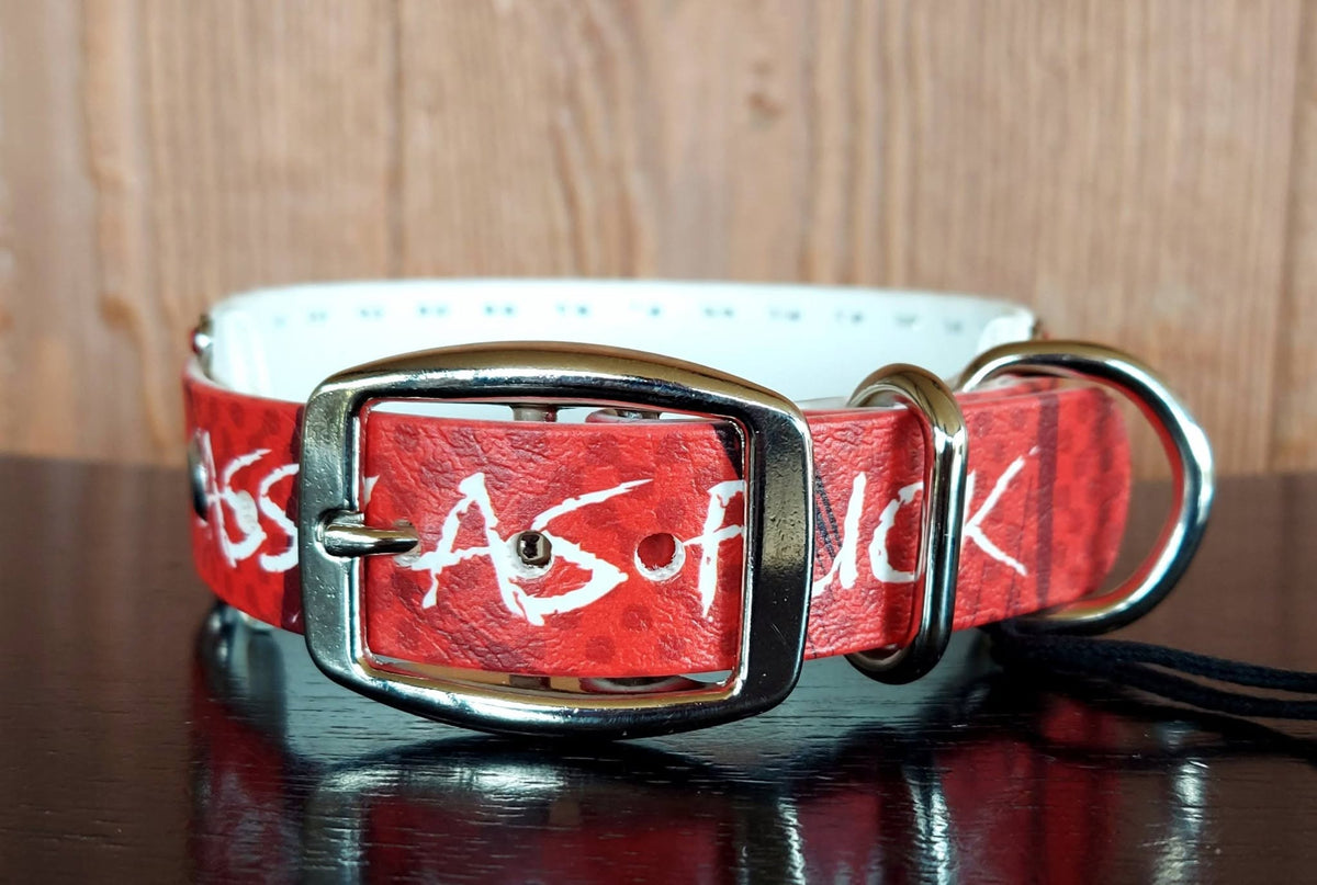 Sassy AF Buckle Collar