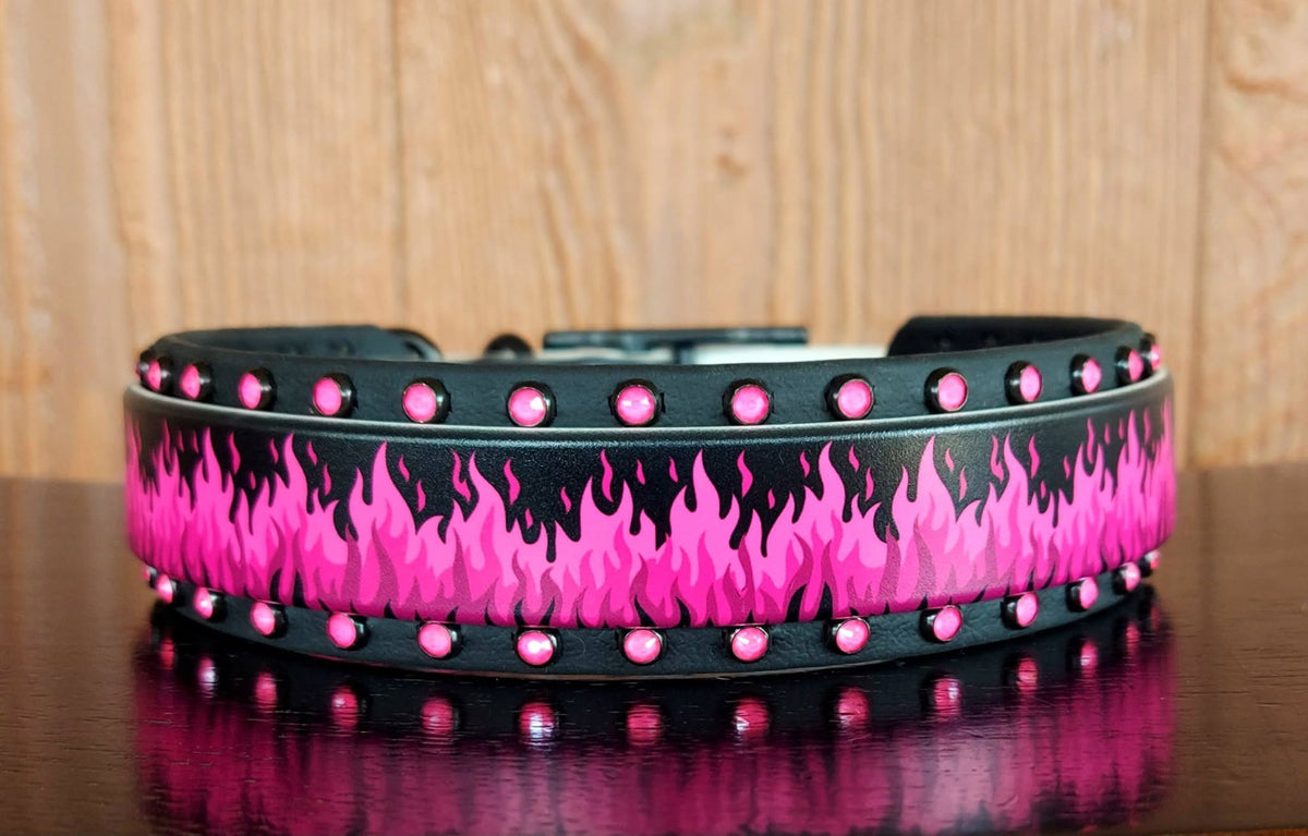Flamin Hot Pink Buckle Collar