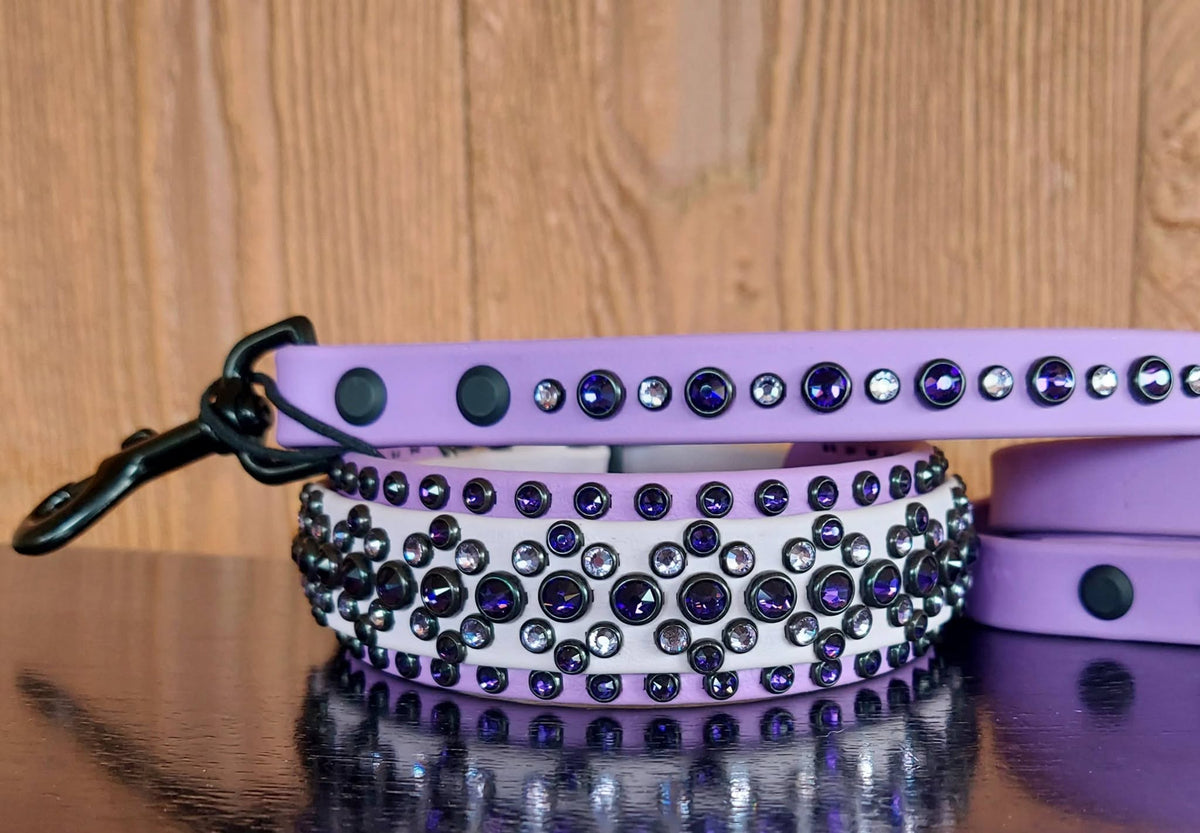 Regal 2 PURPLE - SET (Collar and matching leash)
