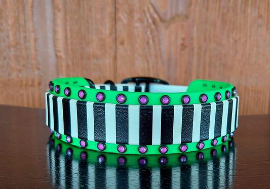 Beetlejuice Stripes UV Printed Collar