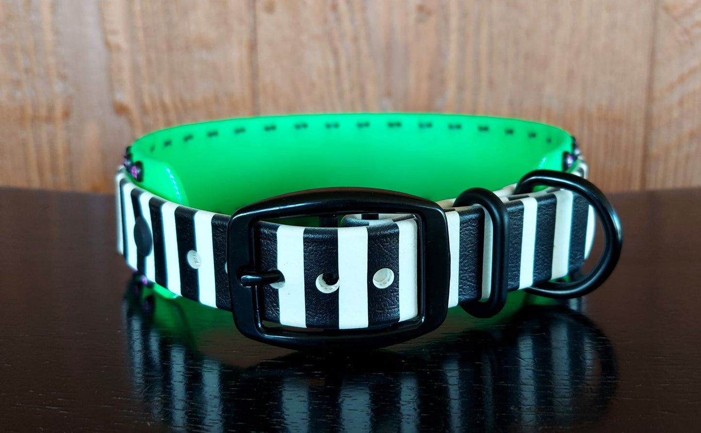 Beetlejuice Stripes UV Printed Collar